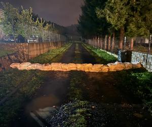 Tak wygląda sytuacja w woj. dolnośląskim