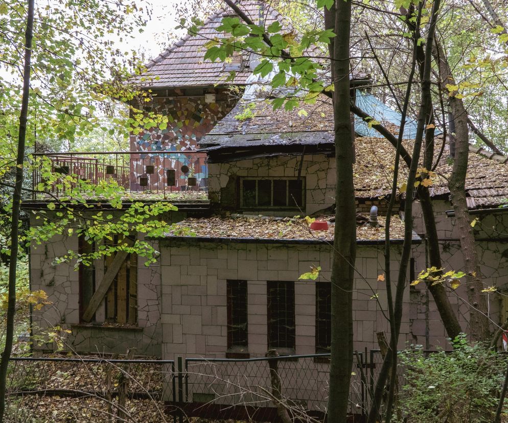 Zaniedbany dom Bolesława Książka w Łysej Górze, z częściowo zawalonym dachem pokrytym plandeką i licznymi opadłymi liśćmi, świadczy o potrzebie ochrony dziedzictwa polskiej ceramiki, o której przeczytasz na Architektura Murator Plus.