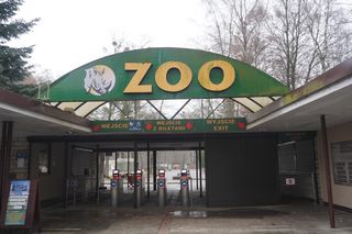 W ZOO Poznań wprowadzono dodatkowe środki ostrożności
