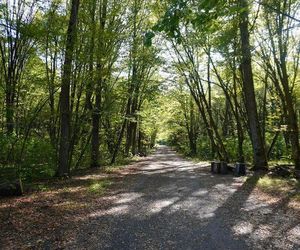 Las Zwierzyniecki i Park Konstytucji 3 Maja