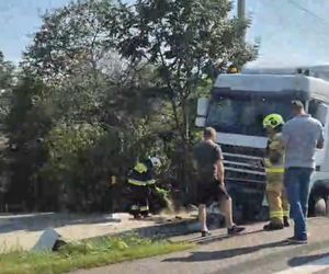  Kierowcę ciężarówki użądliła pszczoła, uderzył w przepust.