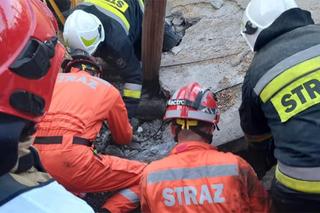 Bukowiec: Zawalił się strop nad oborą i zabił sześć krów! Ranny mężczyzna trafił do szpitala [ZDJĘCIA]