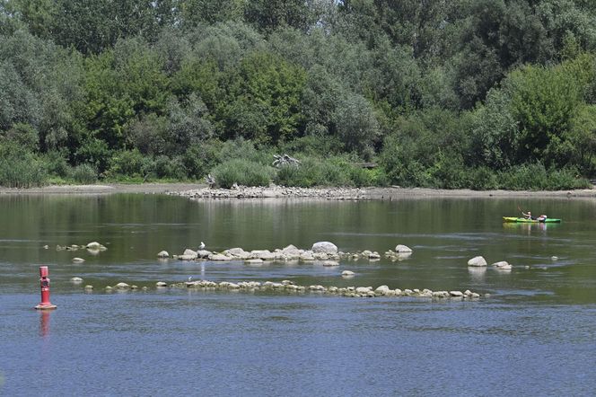 Niski stan wody w Wiśle