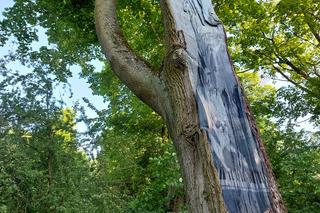 Nowości czekają na spacerowiczów w parku w Ostromecku. Mamy zdjęcia