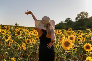 Życzenia imieninowe dla Danuty - 24.06. Zobacz najpiękniejsze wierszyki na imieniny!