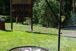 Centrum Edukacji Przyrodniczo-Leśnej w Powsinie