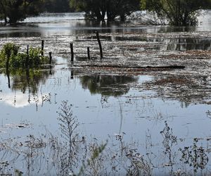 Przekroczone stany alarmowe na Odrze