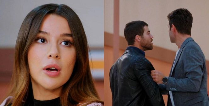 Miłość i nadzieja, odcinek 310. Zeynep, Cihan, Ege