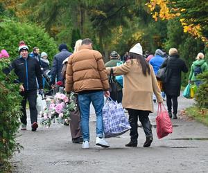 Porządki na Cmentarzu Centralnym w Szczecinie