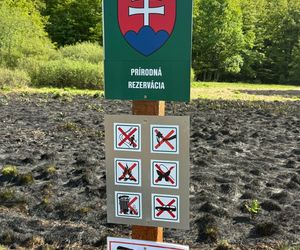 Duży pożar na pograniczu polsko-słowackim. Na miejscu pracuje wiele zastępów straży pożarnej