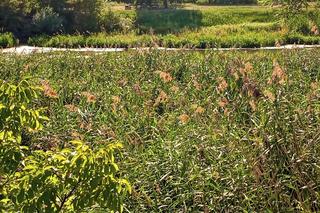 Jezioro Słoneczne znika w oczach