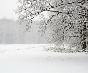 Prognozy IMGW na zimę. Gdzie i kiedy w Polsce spadnie pierwszy trwały śnieg?