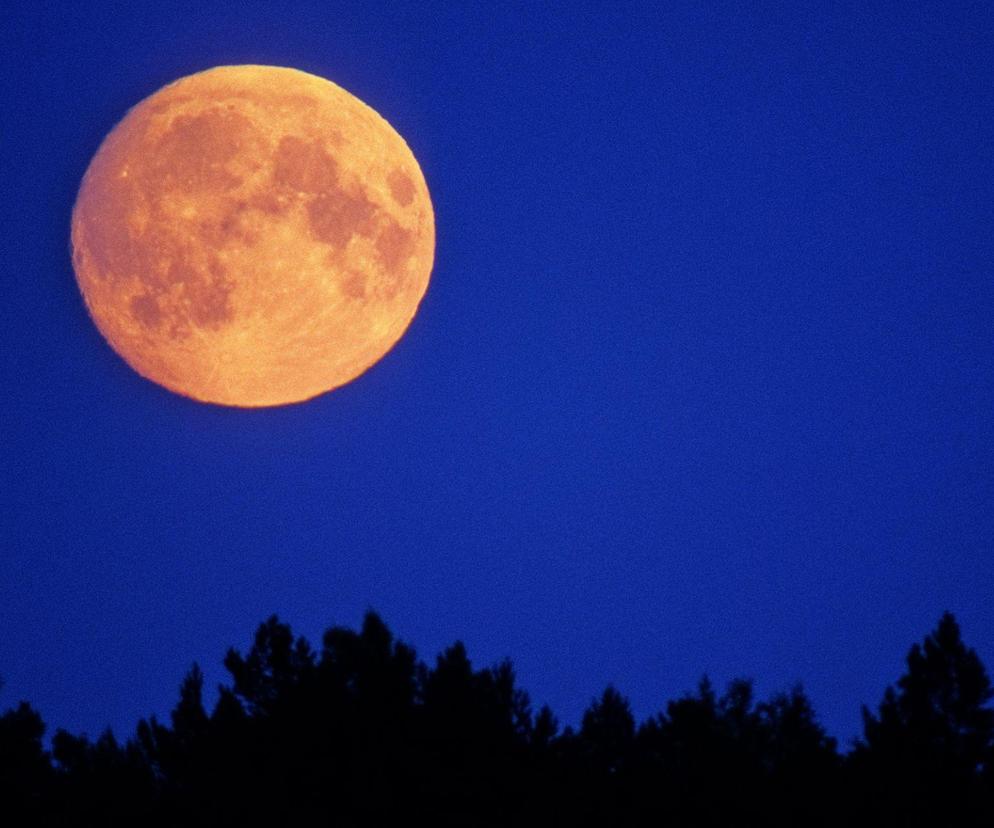 Księżyc Plonów 2023. Kiedy oglądać pełnię księżyca we wrześniu 2023? Odczuje ją każdy z was! 