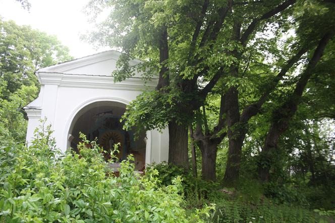 Polskie wojsko wkroczyło do Czech