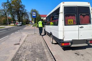 Zdezelowane autobusy miały wieźć dzieci na wycieczkę i do szkół