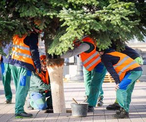 Rybnik szykuje się do świąt Bożego Narodzenia