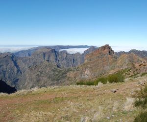 Tragiczny finał poszukiwań Polaka na Maderze. Policja ujawnia przyczynę śmierci