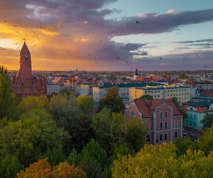 Kto prezydentem miasta? Jakie są wyniki wyborów samorządowych?