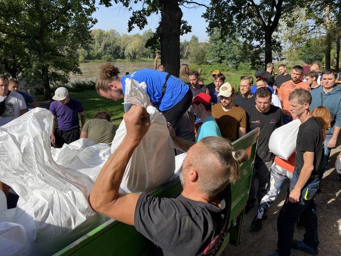  ZOO Wrocław. Umacnianie wałów, układanie worków z piaskiem