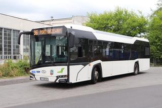 Konsultacje w sprawie zmian w ruchu autobusowym. Urząd Miasta Torunia zaprasza