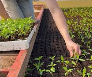 Nowa dziewczyna Rafała Gajdy to prawdziwa piękność! Rolnik zabrał ją na Bahamy