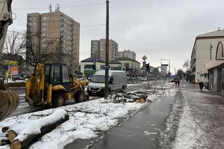 Wycinka drzew w Pruszkowie 