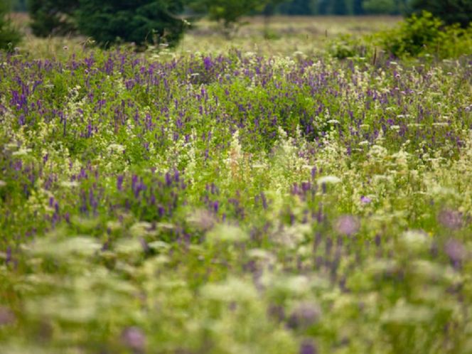 Małopolskie atrakcje turystyczne wyróżnione w prestiżowym plebiscycie. Na liście dwa mało znane miejsca