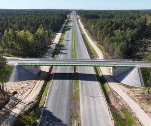 Budowa drogi S19 na odcinku Boćki (bez węzła) - Malewice