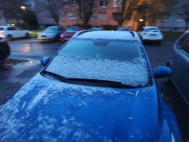 Pierwszy śnieg spadł w Poznaniu i okolicach