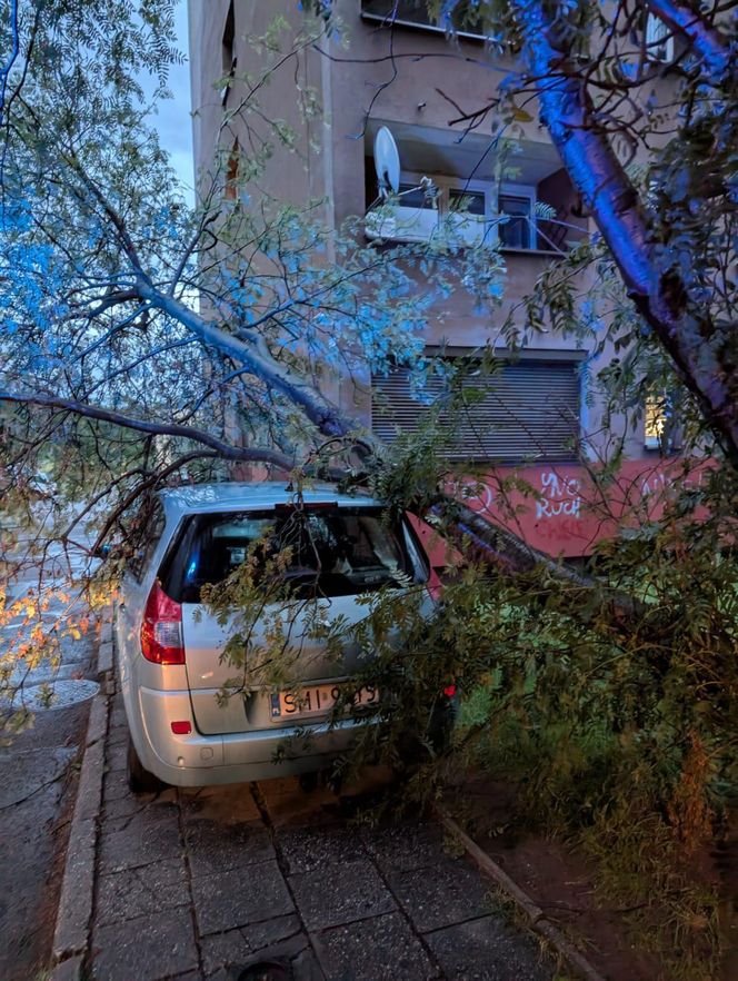 Powalone drzewa, zalania, wstrzymany ruch tramwajów: dramatyczny bilans orkanu nad Śląskiem
