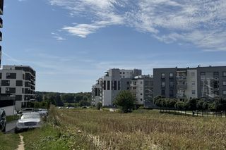 To najsłynniejsze pole w Lublinie