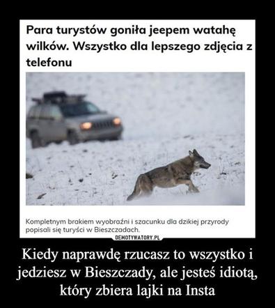 Memy o Bieszczadach