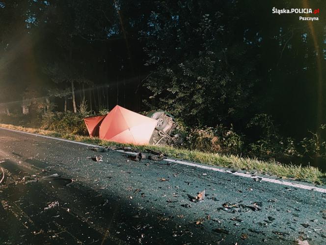 Tragiczny wypadek koło Pszczyny. Zginęli dwaj kierowcy [ZDJĘCIA]