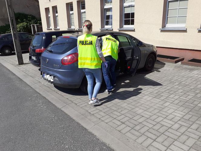 26-latek pobił psa na śmierć