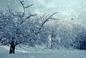 Pogodowy armagedon na Podhalu. Śnieg nie przestaje sypać! Synoptycy podali kluczową datę
