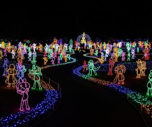 Śląski Ogród Botaniczny w Mikołowie. Czy Garden of Lights przeniesie nas do prawdziwej Krainy Czarów?