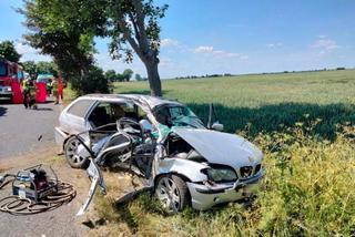 Nie żyje pasażer bmw, a kierowca walczy o życie! Auto roztrzaskało się o drzewo pod Działdowem [ZDJĘCIA]