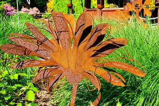 Ogrody Kapias w Goczałkowicach. Tu lato już w pełni