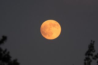 Całkowite zaćmienie Księżyca 7 września 2025. Tak wyglądał krwawy superksiężyc na zdjęciach!