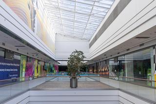 Malta zniknie z mapy Poznania