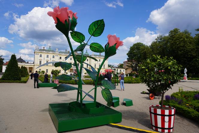 Nowa instalacja artystyczna przy Pałacu Branikich w Białymstoku