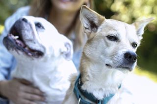 Marta Krupa w towarzystwie najlepszych przyjaciółek! Nazywają się... Maelie i Moddie