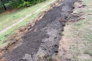 Pilska Zielona Dolina jeszcze bardziej się zazieleni