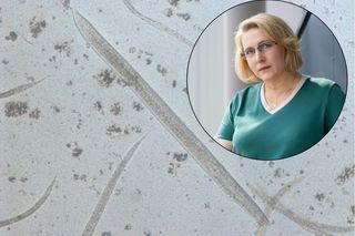 Grzyby kontra nicienie. Naukowcy z UMCS pracują nad preparatami na choroby pasożytnicze