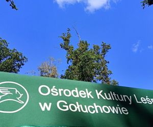 Europejskie Dni Dziedzictwa w Gołuchowie. Seminarium o szkołach leśnych i mnóstwo atrakcji!