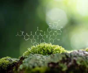 Na te kierunki studiów dostaniesz się łatwiej niż myślisz