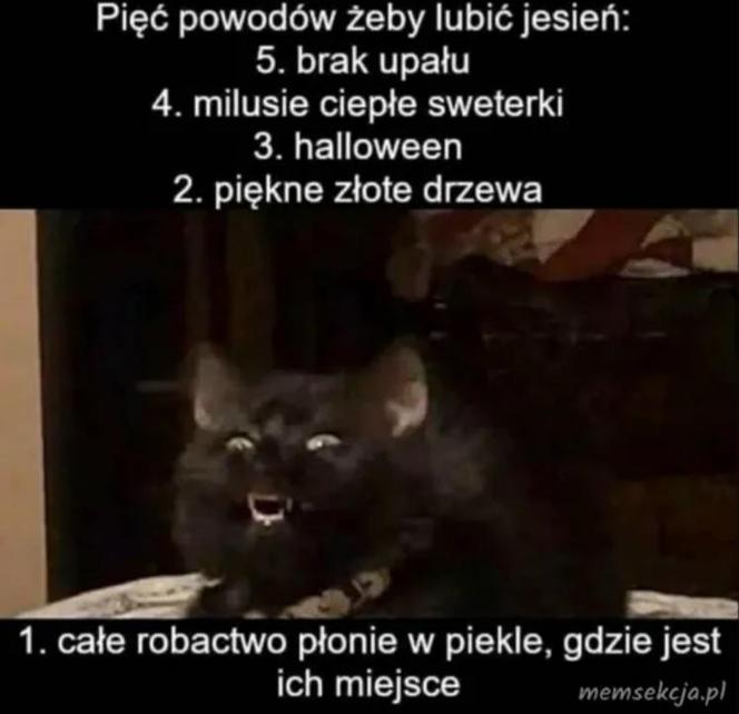 Kościół traci wyznawców na Podkarpaciu. Spory spadek liczby katolików  