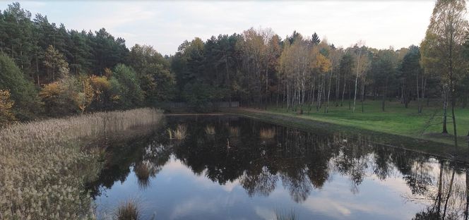 Idealne miejsce na jesienny spacer w Śląskiem - Kamień 