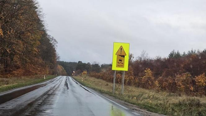 Wypadek w pobliżu Konotopu - wojskowa ciężarówka w rowie 