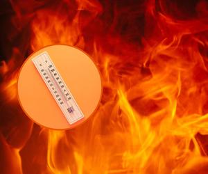 Skwar, jakiego jeszcze nie było. Prawie 40 stopni na termometrach to nie żart! 